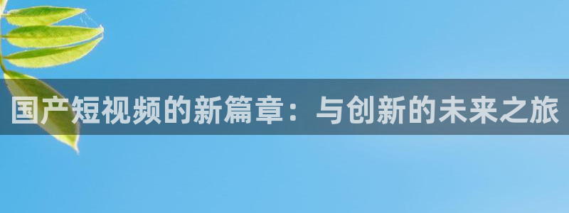 bg大游平台
