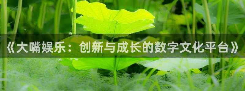 bg大游娱乐