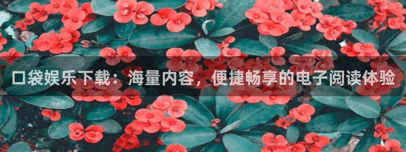 bg大游娱乐