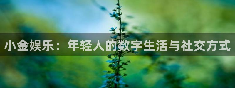 bg大游