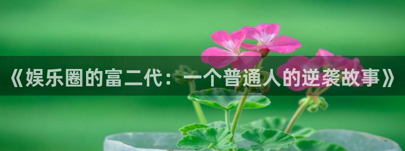 bg大游官网